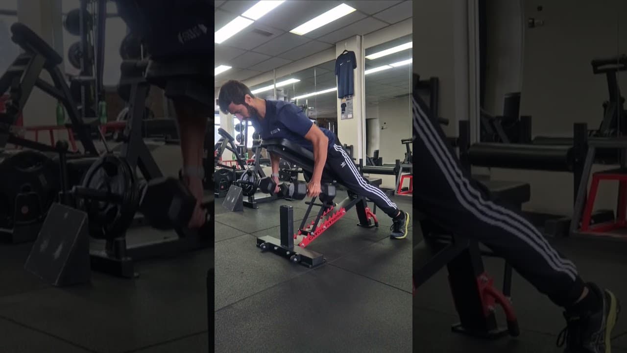 DB Chest Supported Row